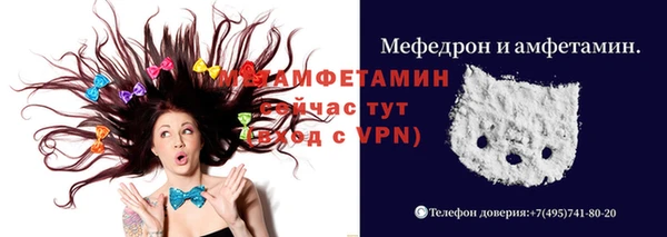 ГАЛЛЮЦИНОГЕННЫЕ ГРИБЫ Аркадак