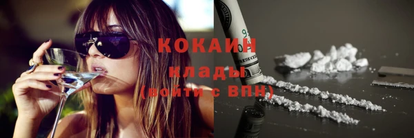 ГАЛЛЮЦИНОГЕННЫЕ ГРИБЫ Аркадак