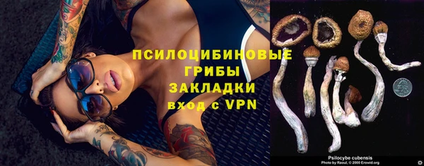 прущая мука Армянск