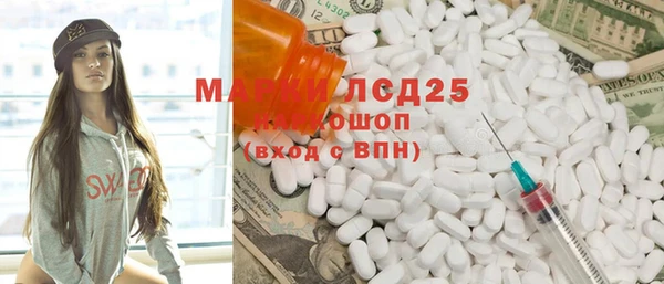 ГАЛЛЮЦИНОГЕННЫЕ ГРИБЫ Аркадак