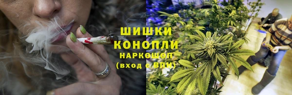 ГАЛЛЮЦИНОГЕННЫЕ ГРИБЫ Аркадак