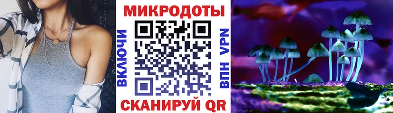 Галлюциногенные грибы прущие грибы Нижний Ломов